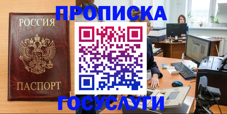 где прописаться в Мытищах